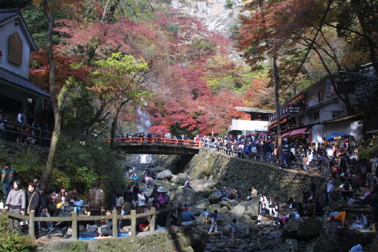 Minoo Great Falls framed by autumn foliage in the valley north of Osaka