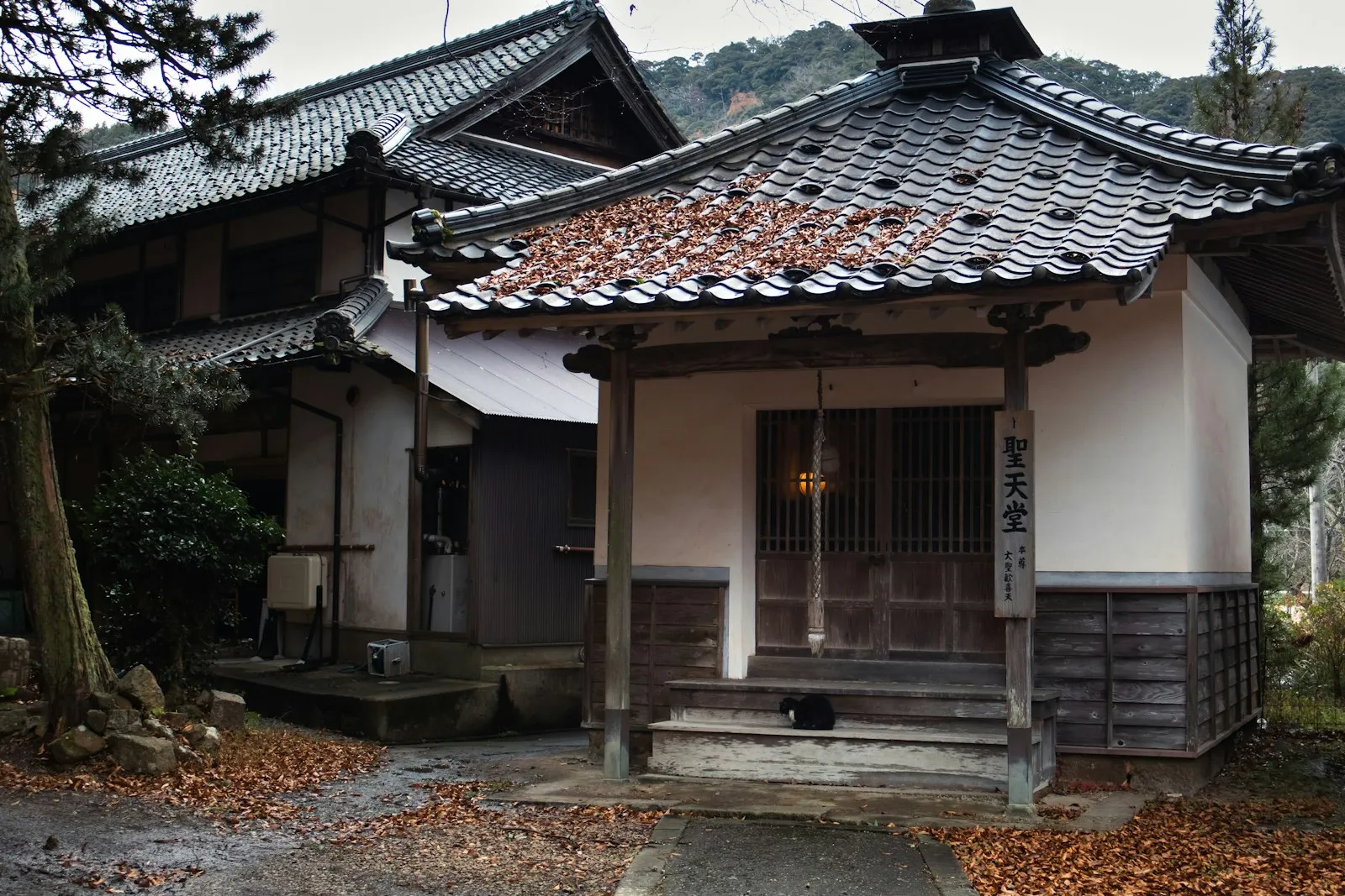 Traditional tiled-roof ryokan buildings along a Kinosaki Onsen street