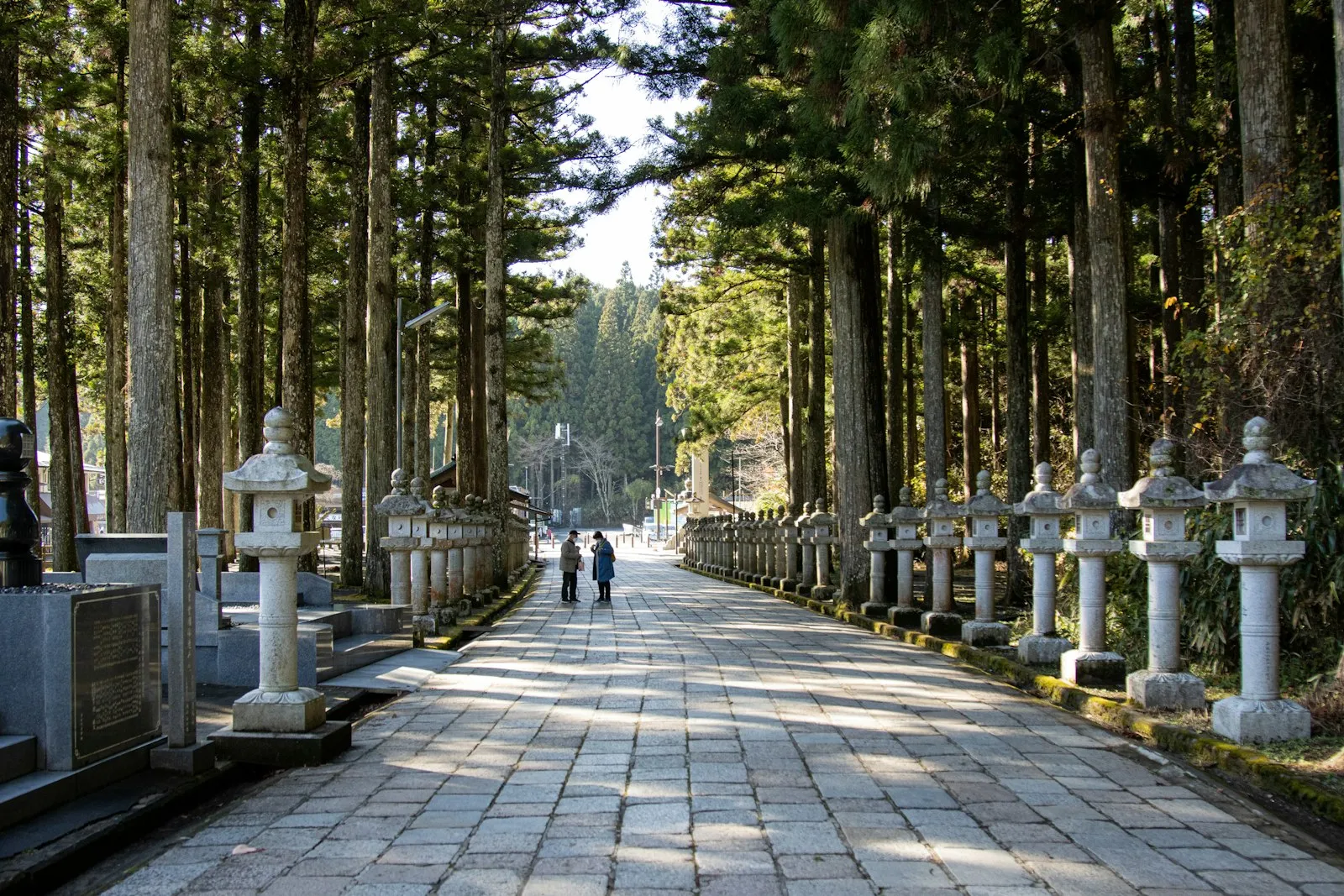 A tree-lined walkway through the Okunoin cemetery on Koyasan