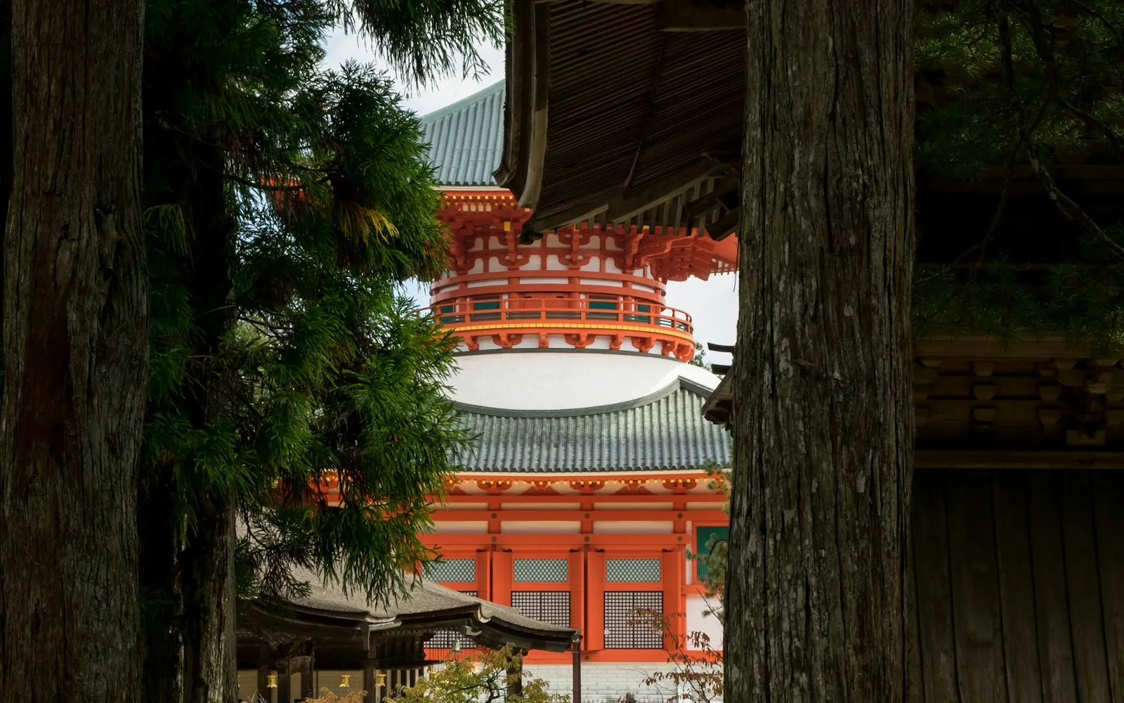 The vermilion great pagoda at Koyasan's Danjō Garan seen between cedar trunks