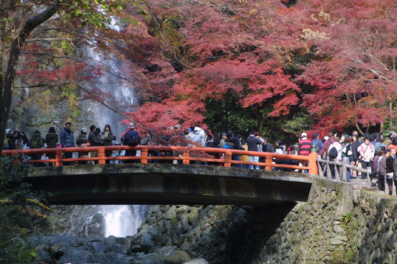 Minoo Falls behind a vermilion bridge crowded with autumn-foliage visitors