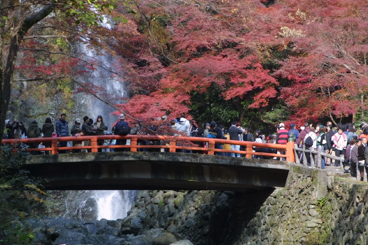 Minoo Falls behind a vermilion bridge crowded with autumn-foliage visitors