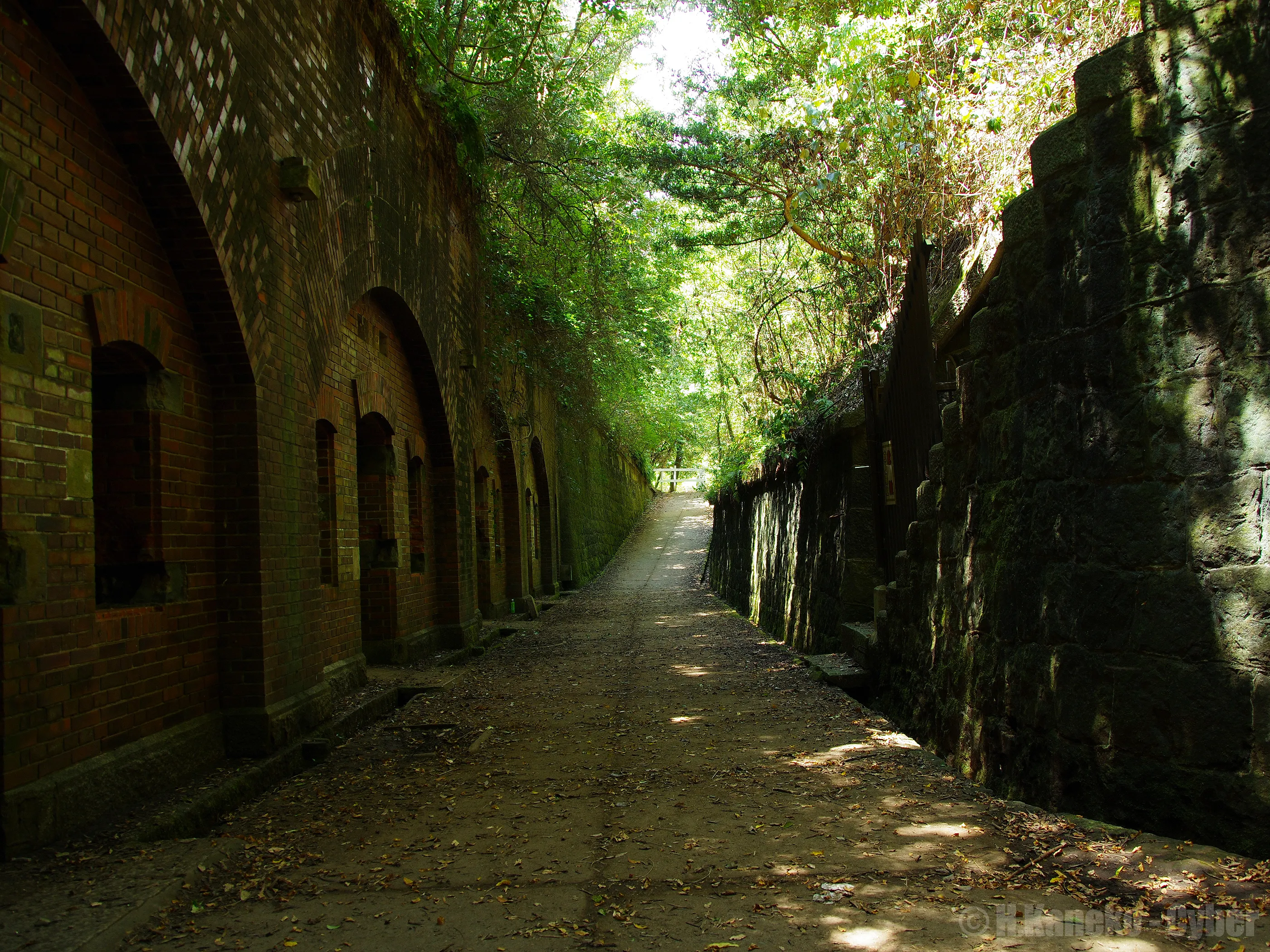 Brick arches of an abandoned Meiji-era gun battery on Tomogashima, reclaimed by forest
